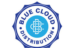Blue cloud logo wide