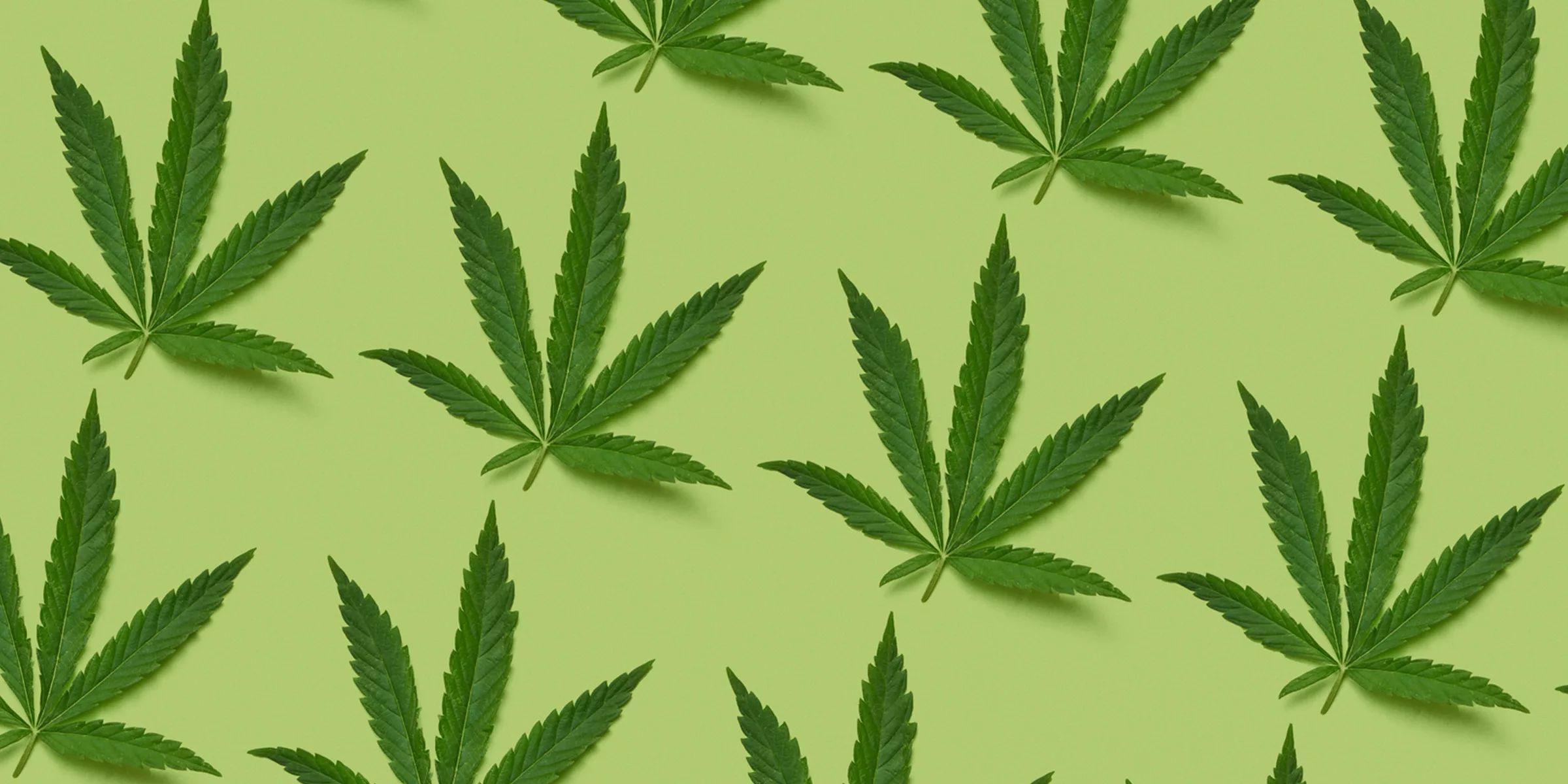Hemp cover b