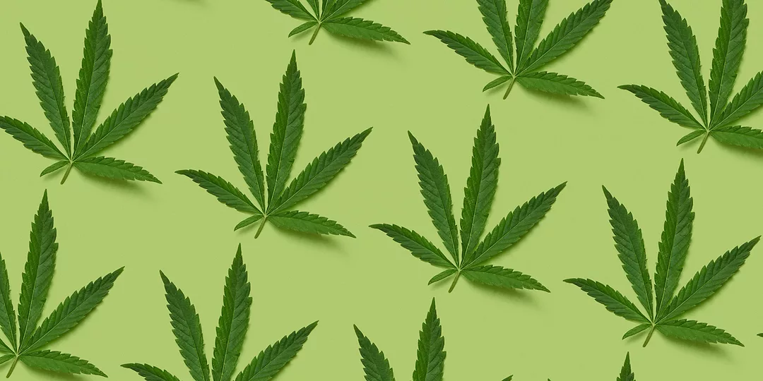 Cover-Web.jpg